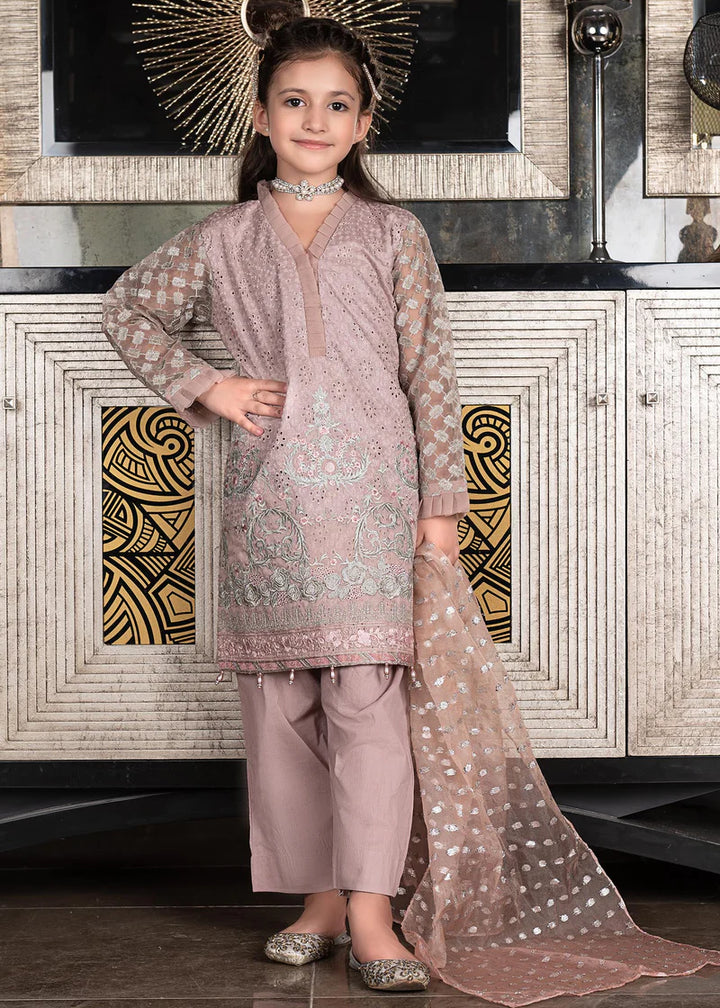 EMBROIDERED ORGANZA SUIT PINK ALKD21