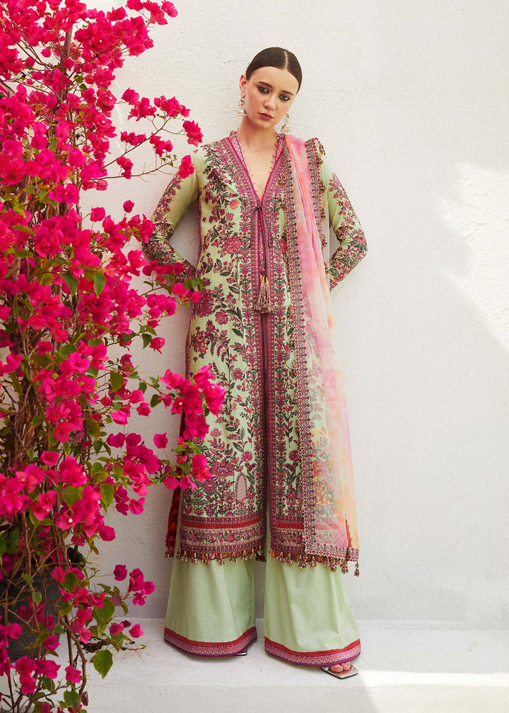 HUSSAIN REHAR FESTIVE LAWN COLLECTION EIRA